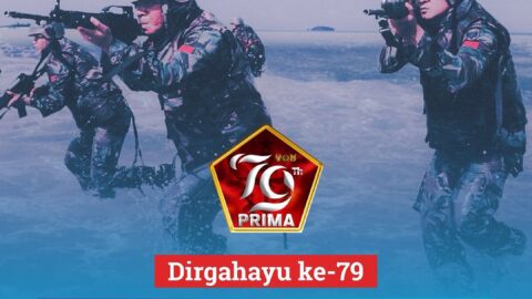 Dirgahayu TNI!